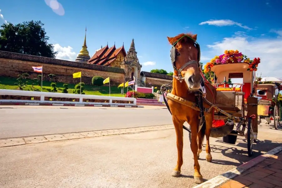 ตั๋วเครื่องบินไปลำปาง