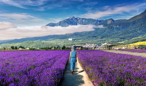 ตั๋วเครื่องบินไปซัปโปโร