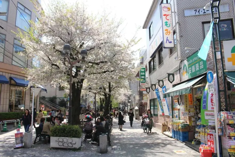 จองตั๋วเครื่องบินไปโตเกียว